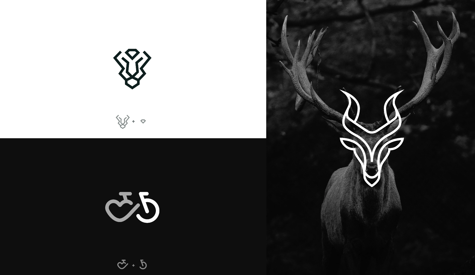 Logotyp koncept